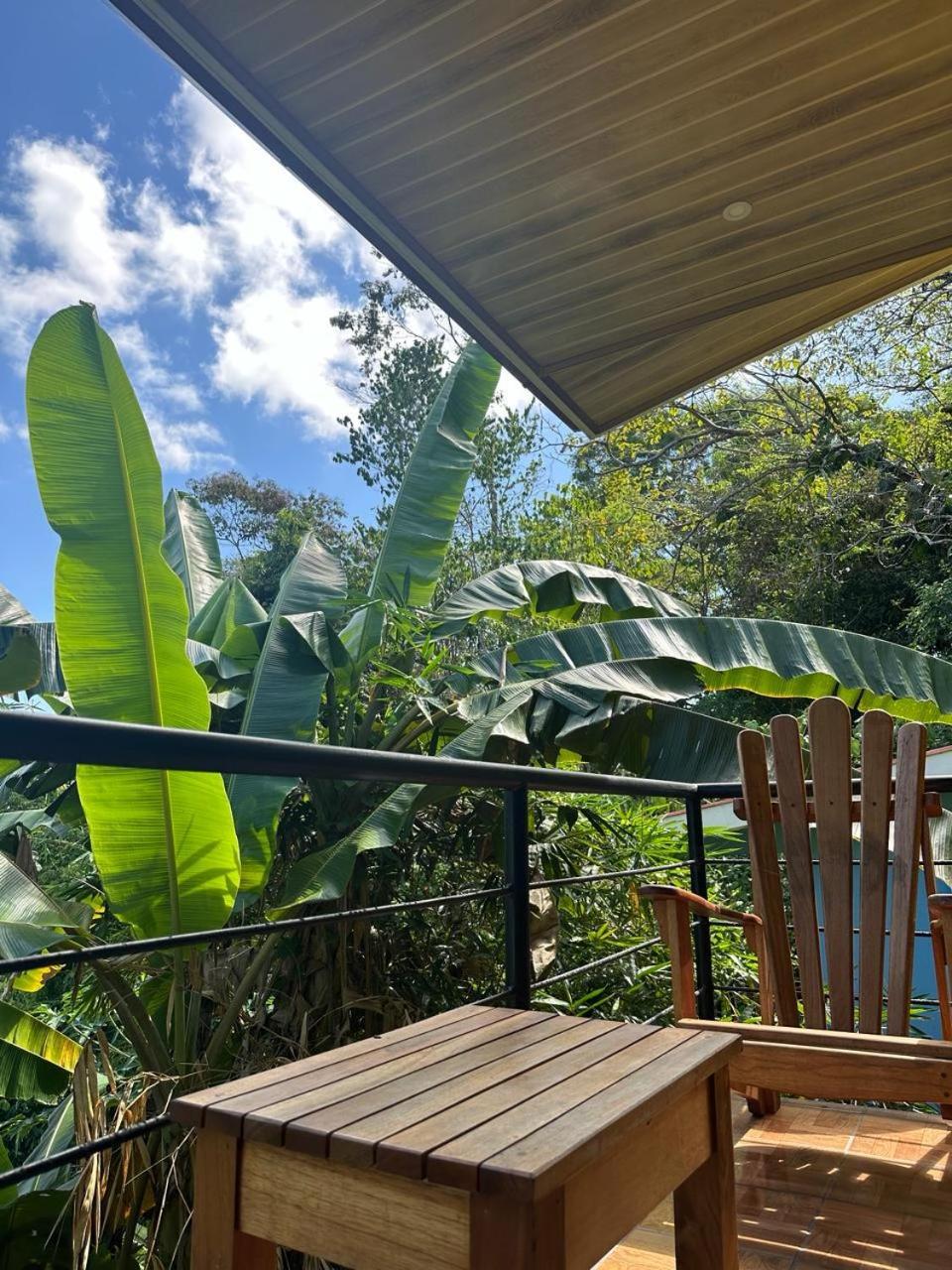 Villas In Sueno Private Jungle Hotel Manuel Antonio Exterior photo